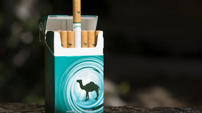 menthol cigarettes